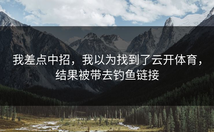 我差点中招，我以为找到了云开体育，结果被带去钓鱼链接