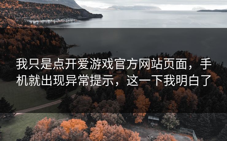 我只是点开爱游戏官方网站页面，手机就出现异常提示，这一下我明白了