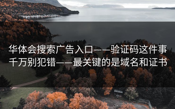 华体会搜索广告入口——验证码这件事千万别犯错——最关键的是域名和证书