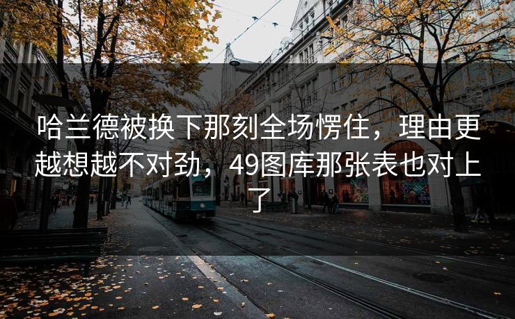哈兰德被换下那刻全场愣住，理由更越想越不对劲，49图库那张表也对上了