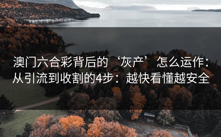 澳门六合彩背后的‘灰产’怎么运作：从引流到收割的4步：越快看懂越安全