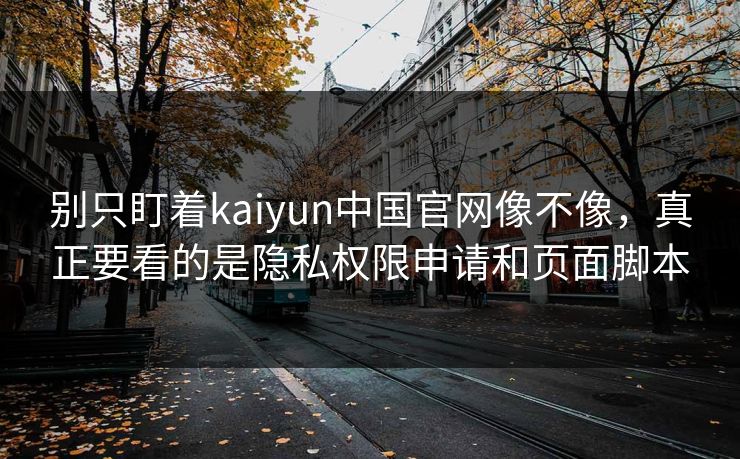 别只盯着kaiyun中国官网像不像，真正要看的是隐私权限申请和页面脚本